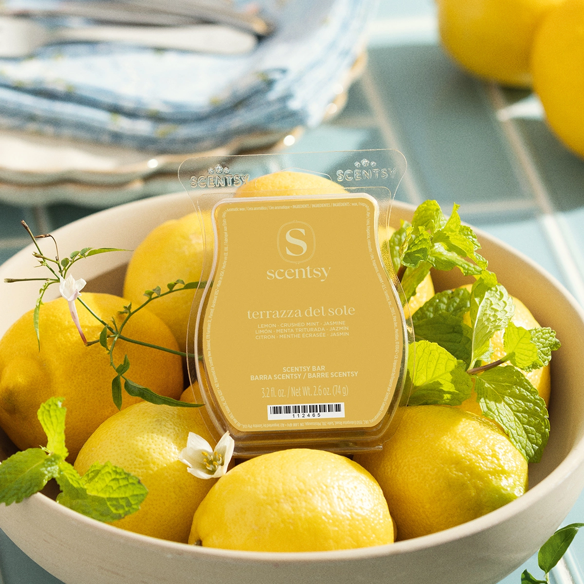 Terrazza del Sole Scentsy Bar - Image 2