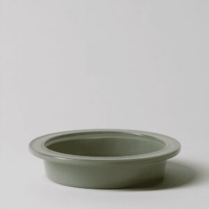 Petal & Vine replacement dish