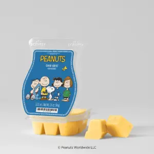 Peanuts™: Good Grief – Scentsy Bar