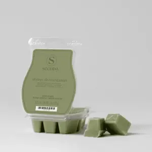 Sharp-Dressed Man Scentsy Bar