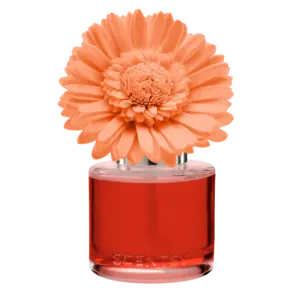 Peach Paradise - Dainty Daisy Fragrance Flower
