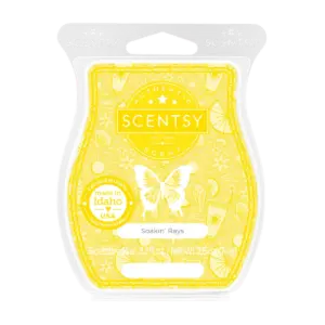 Soakin' Rays Scentsy Bar