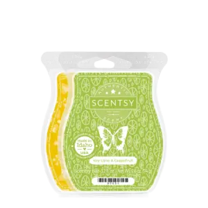 Citrus Getaway Bar Duo