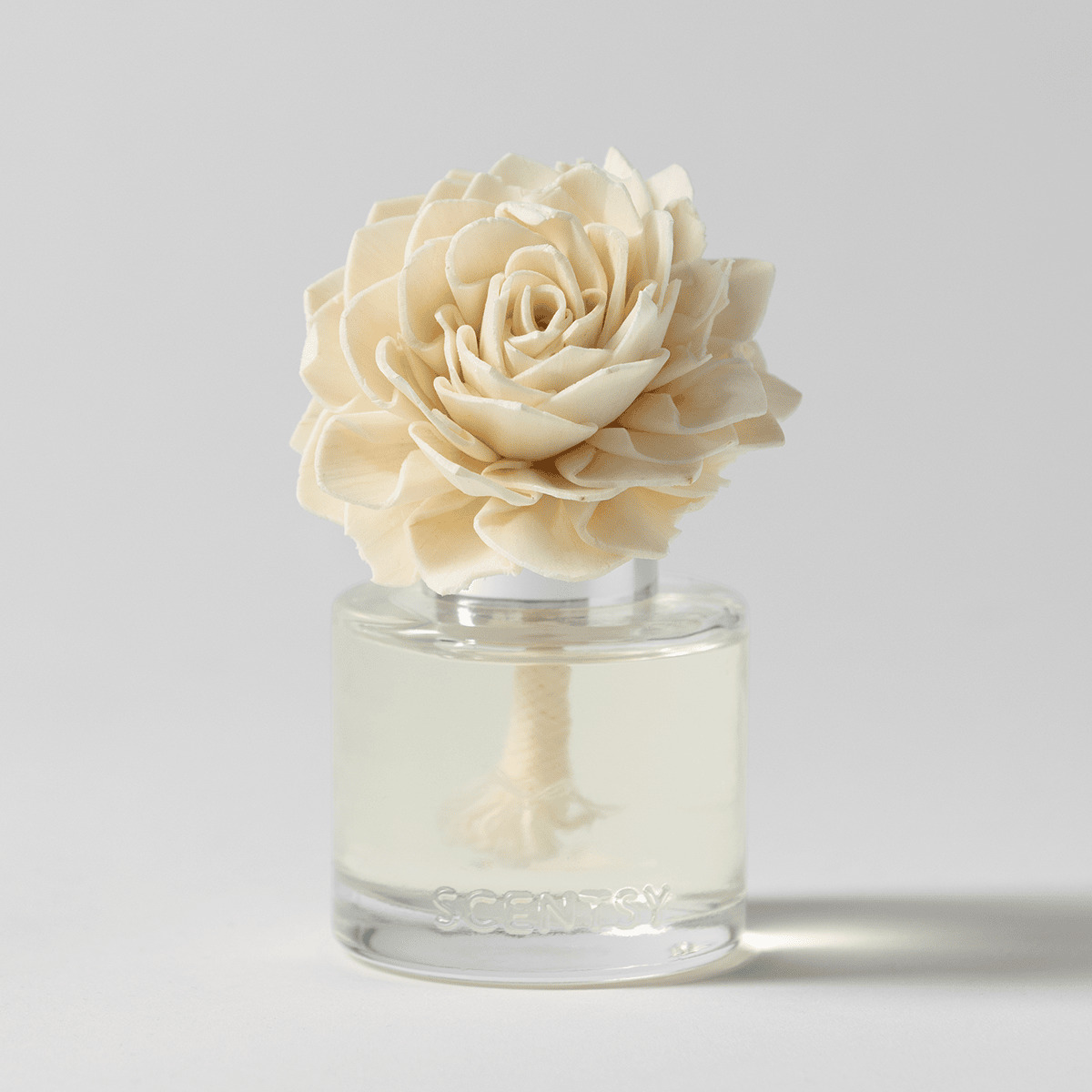 Snowberry - Dahlia Darling Fragrance Flower - Image 2