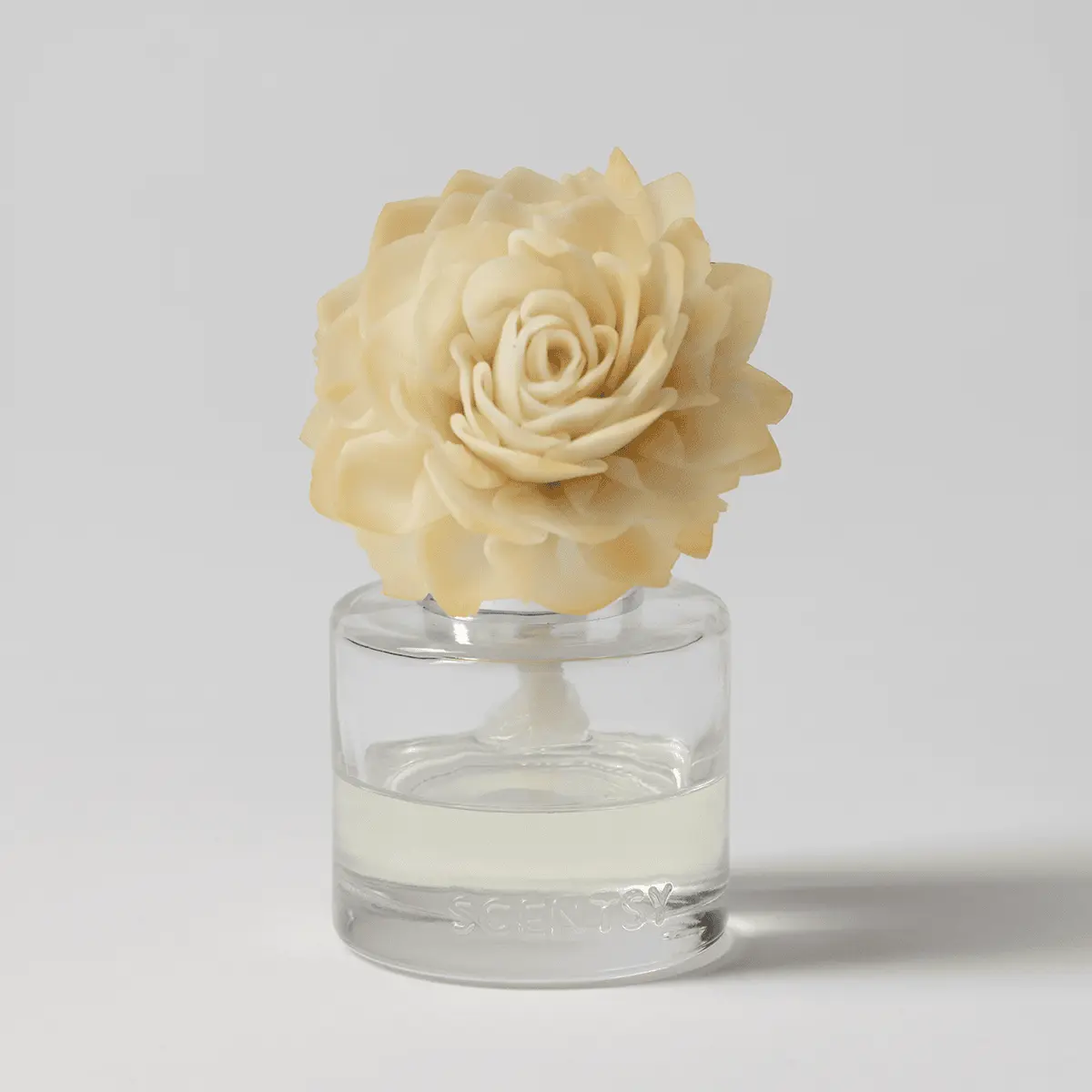 Apple Harvest Dreams - Dahlia Darling Fragrance Flower