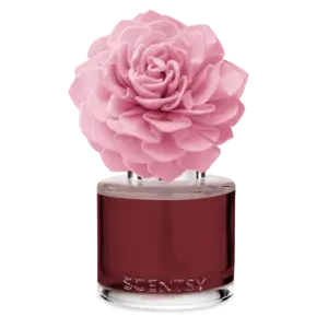 Peppered with Kisses - Dahlia Darling Fragrance Flower