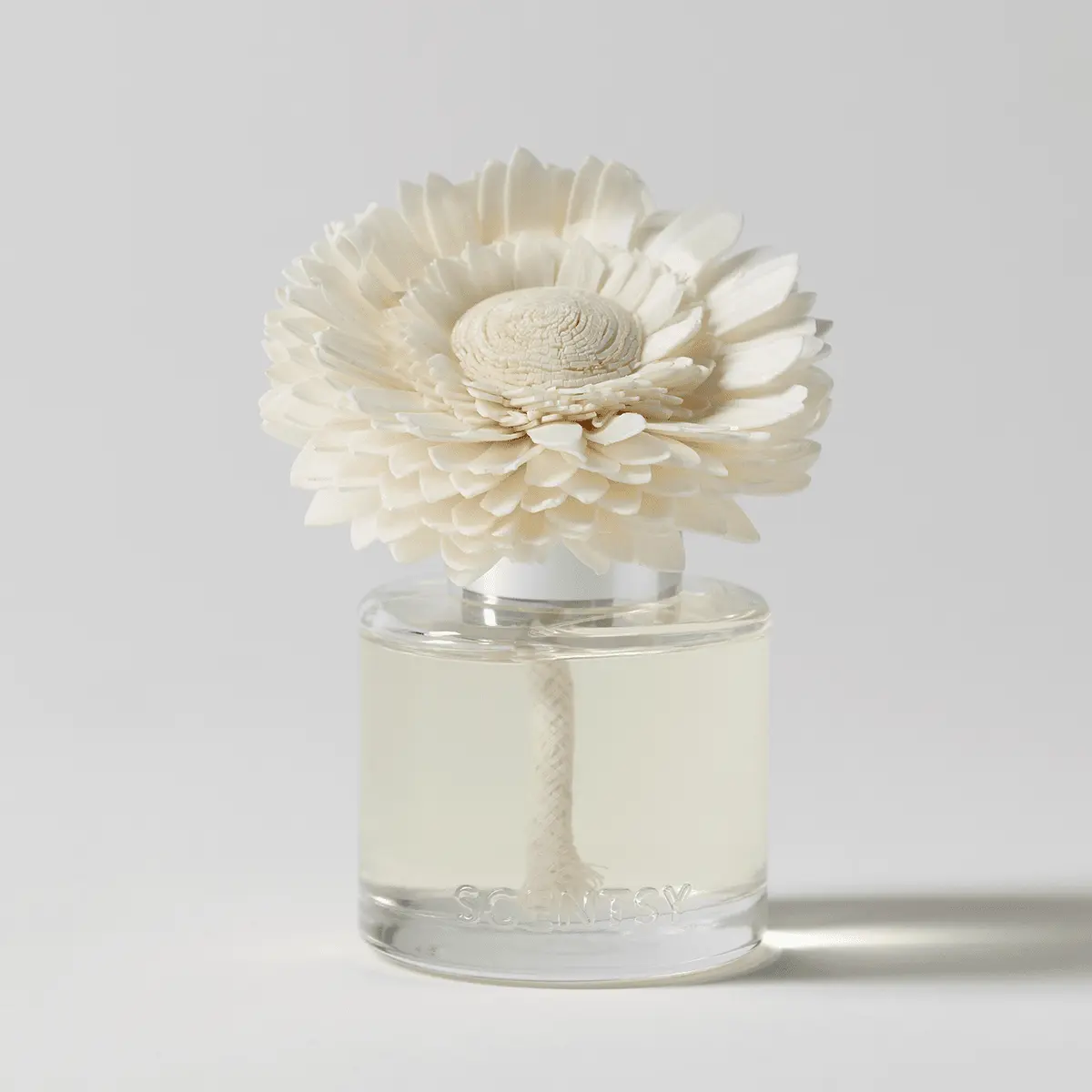Pink Pineapple & Sugar - Dainty Daisy Fragrance Flower - Image 2