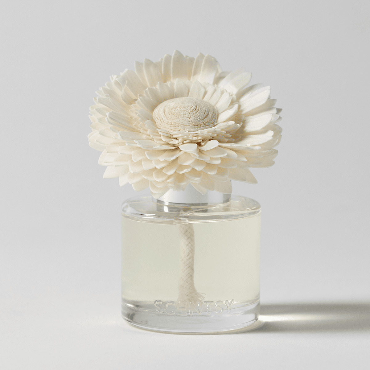 Frosted Eucalyptus - Dainty Daisy Fragrance Flower - Image 2