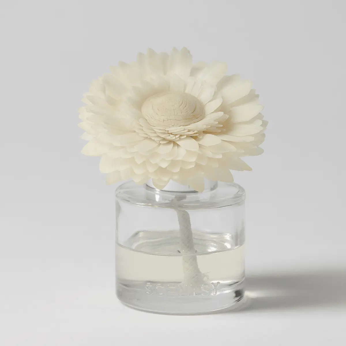 Pink Pineapple & Sugar - Dainty Daisy Fragrance Flower