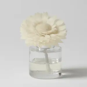 Apple & Cinnamon Sticks - Dainty Daisy Fragrance Flower