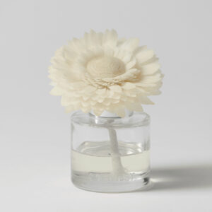 Gingerbread Pecan Waffles - Dainty Daisy Fragrance Flower