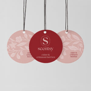 Cider & Crimson Berries Scent Circle 3-Pack