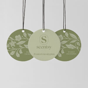 Frosted Eucalyptus Scent Circle 3-Pack