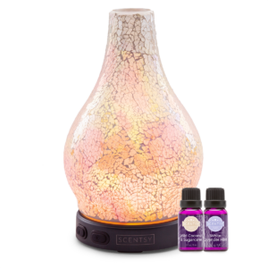 Calm & Collected Diffuser Bundle
