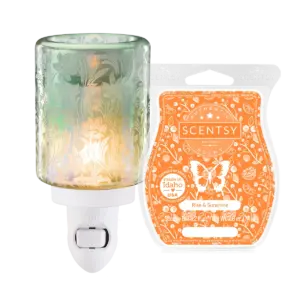 Sunshine Garden Bundle