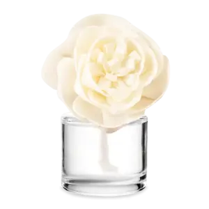 Coco(nuts) for Coconut - Buttercup Belle Fragrance Flower