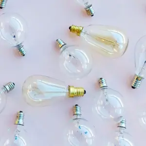 Bulbs & Accessories