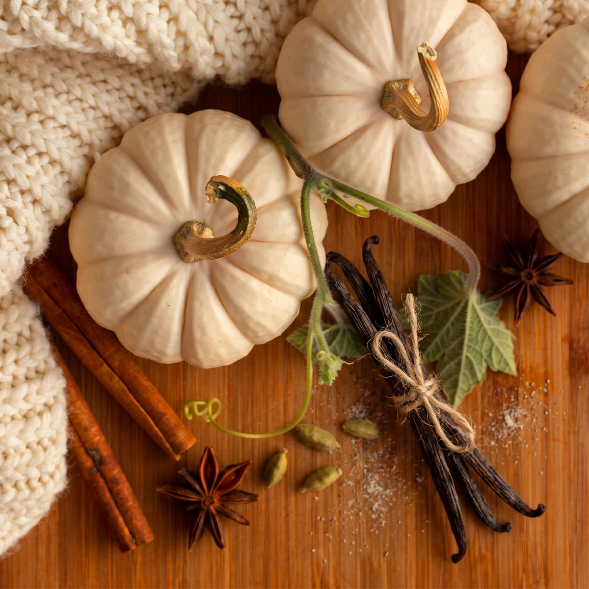 Sandalwood & Vanilla Pumpkin Scentsy Bar - Image 2