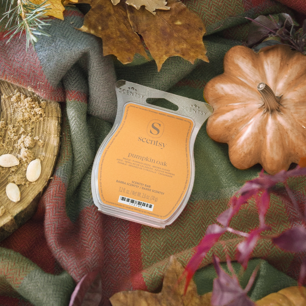 Pumpkin Oak Scentsy Bar - Image 3