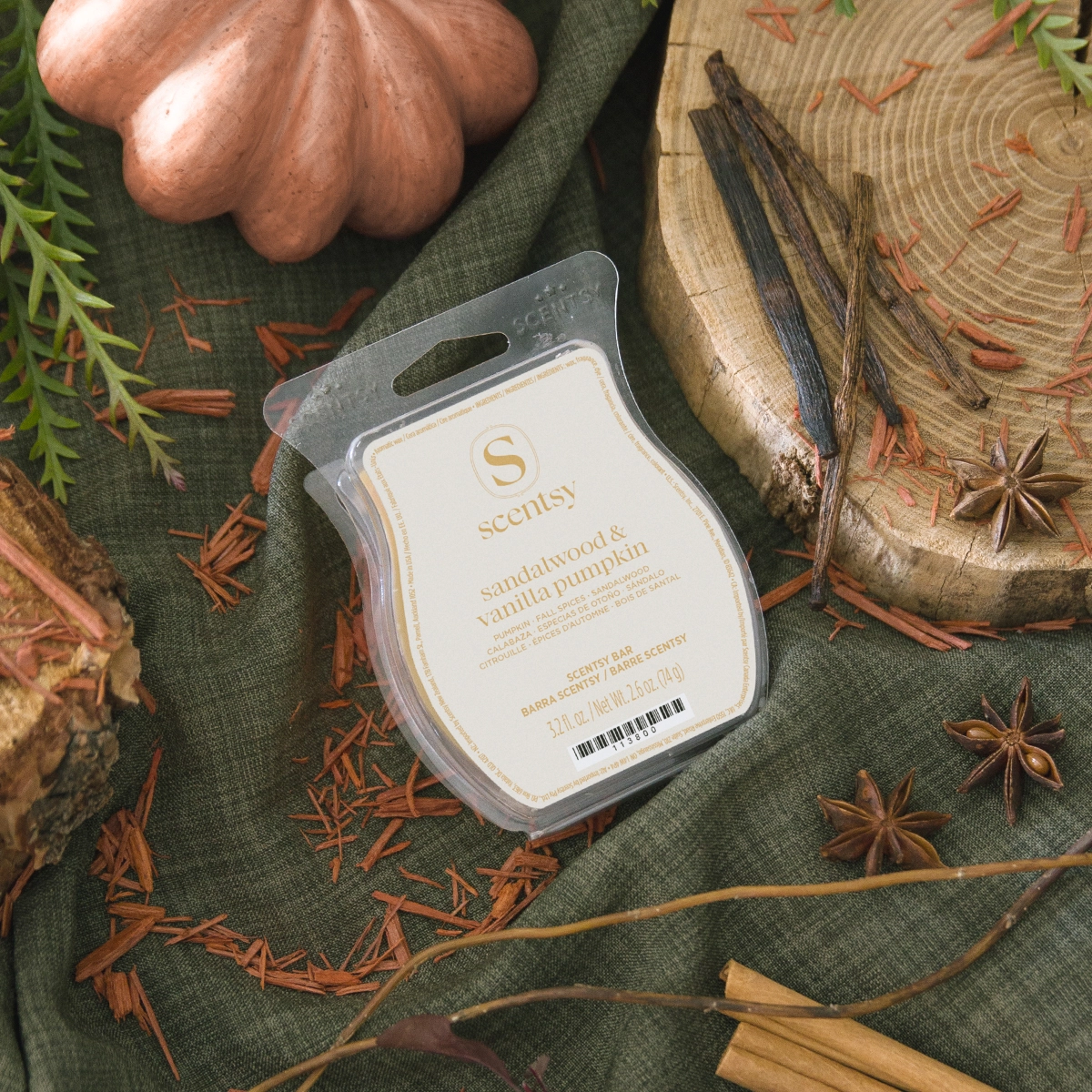 Sandalwood & Vanilla Pumpkin Scentsy Bar - Image 3