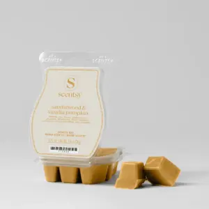 Sandalwood & Vanilla Pumpkin Scentsy Bar