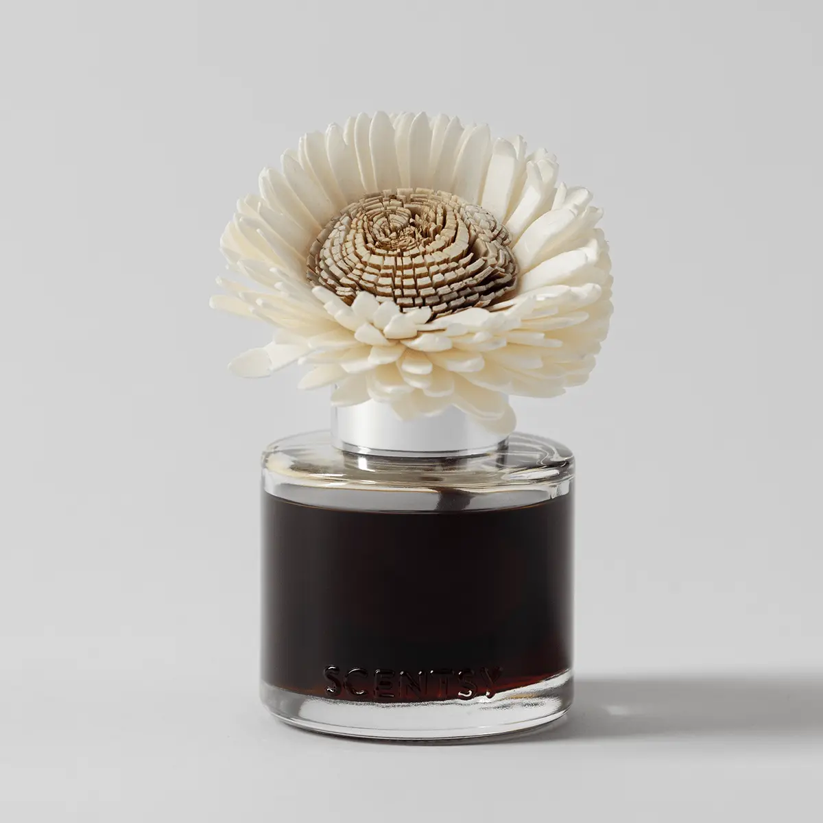 Pumpkin Oak - Stunning Sunflower Fragrance Flower - Image 2
