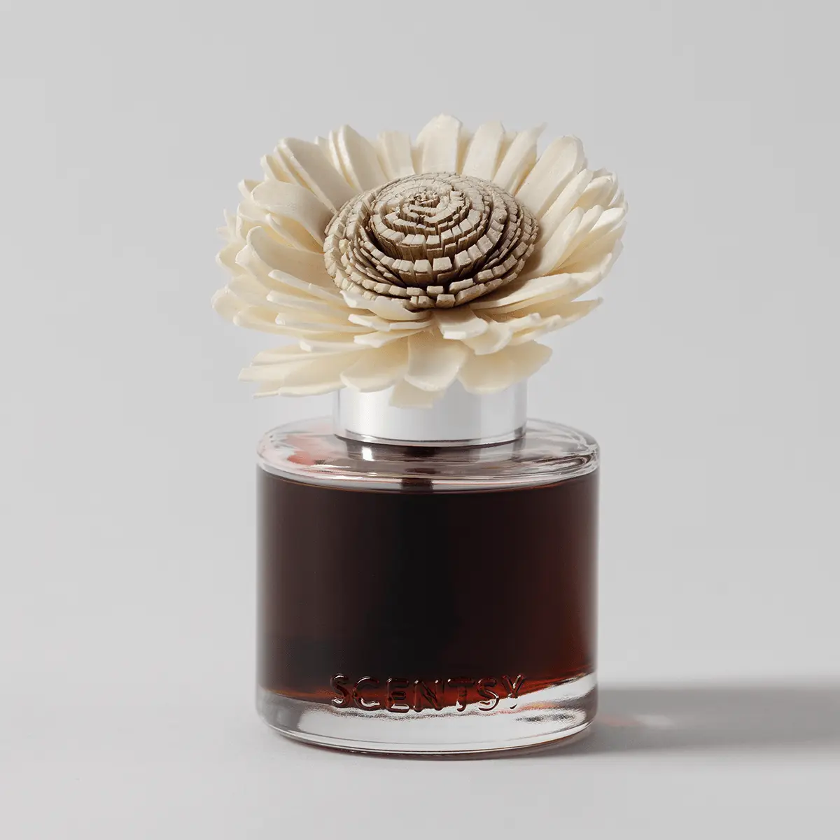 Wild Cherry Fire - Stunning Sunflower Fragrance Flower - Image 2