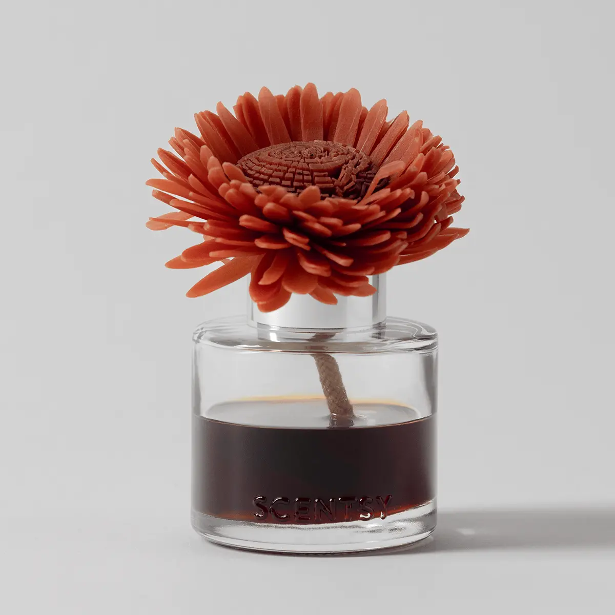 Wild Cherry Fire - Stunning Sunflower Fragrance Flower