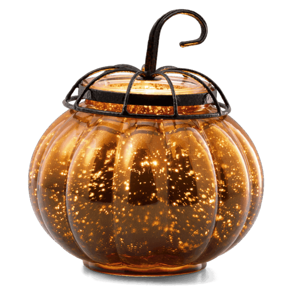 Starry Pumpkin Warmer