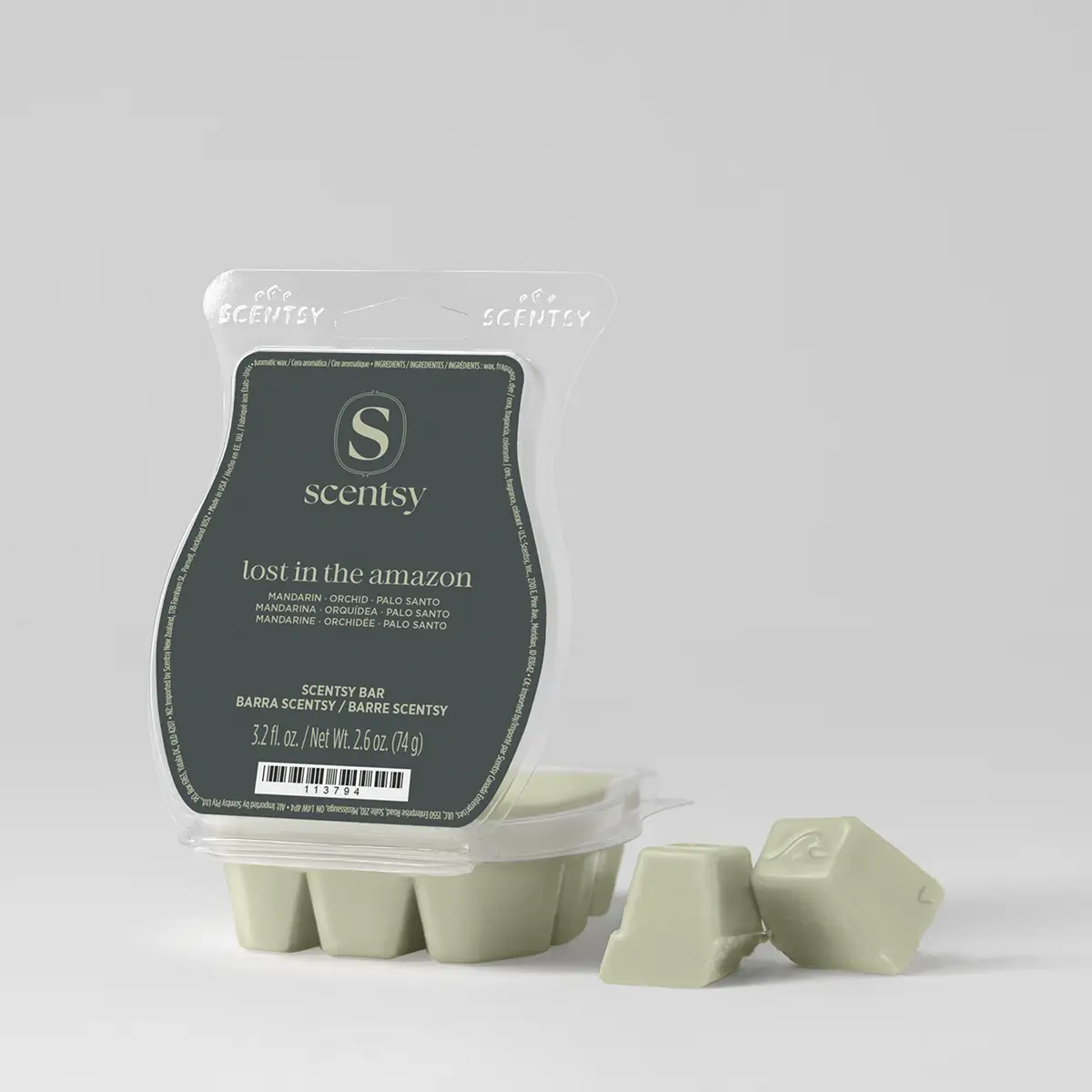 Lost In The Amazon Scentsy Bar