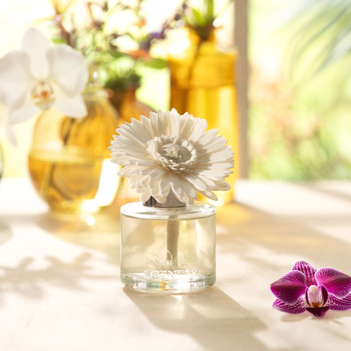 Vanilla Bean Buttercream - Dainty Daisy Fragrance Flower - Image 7