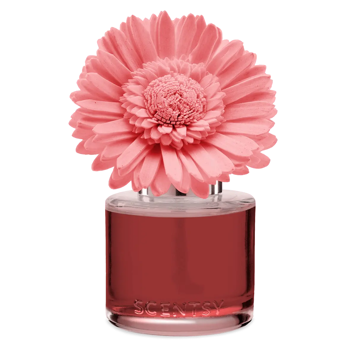 Pink Pineapple & Sugar - Dainty Daisy Fragrance Flower